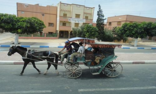 Zdjęcie MAROKO / . / . / alternatywa dla taxi