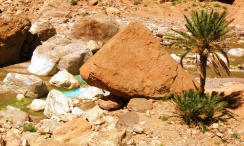 Zdjęcie MAROKO / Ouarzazate  / Teneghir  / Rzeka Todra