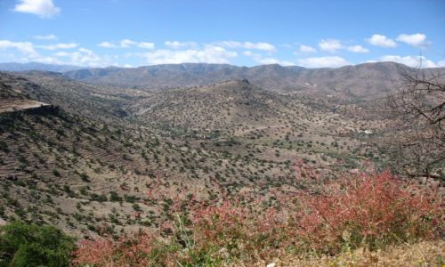 Zdj�cie MAROKO / - / Antytlas / Z w�dr�wek po g�rach: ANTYATLAS