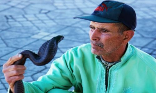 Zdjcie MAROKO /  Marrakesz / Suk, czyli bazar / Oko w oko