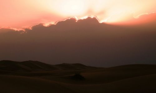 Zdjcie MAROKO / Tafilalet / Erg Chebbi / O zachodzie soca
