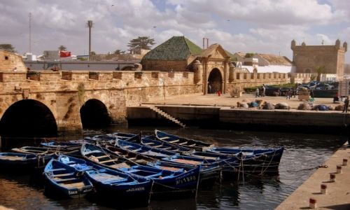 Zdjcie MAROKO / ESSAOURIA / ESSAOURIA / ESSAOURIA