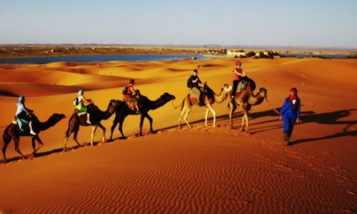 Zdjcie MAROKO / Tafilalet / Erg Chebbi / Karawana