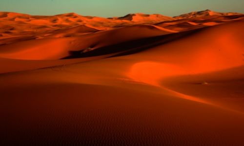 Zdjcie MAROKO / Tafilalet / Erg Chebbi / Piaski Sahary