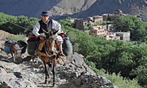 Zdjecie MAROKO / Atlas Wysoki / Szlak na Jabal Toubkal / Na szlaku