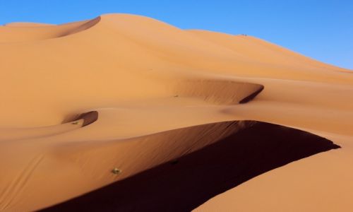 Zdjcie MAROKO / Sahara / Erg Chebbi / Sahara