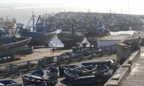 Zdjcie MAROKO / - / essaouira / Warto zobaczyc