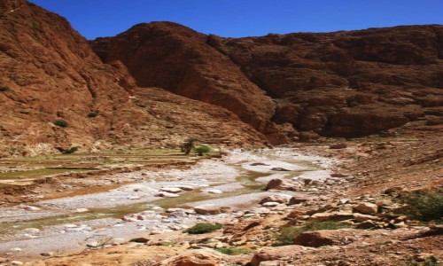 Zdjęcie MAROKO / Ouarzazate / Teneghir  / Wąwóz rzeki Todra