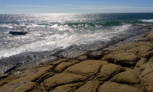 Zdjcie MAROKO / Taghazout, Agadir / Taghazout / Taghazout, Maroko