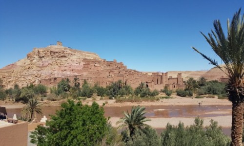Zdjcie MAROKO / Warzazat / Ourzazate / Warzazat