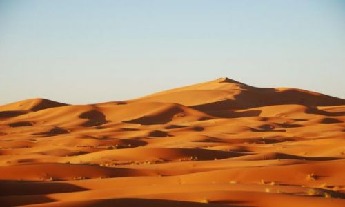 Zdjęcie MAROKO / Pustynia / Merzouga / Wydmy