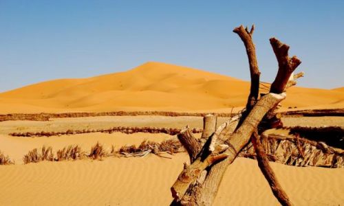 Zdjęcie MAROKO / Sahara / Merzouga / Tuż tuż przed Saharą