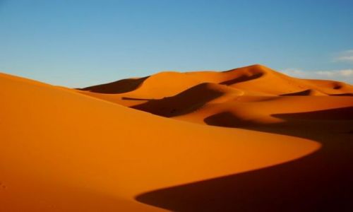 Zdjecie MAROKO / Sahara / Merzouga / Barwy pustyni