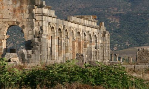 Zdjęcie MAROKO / brak / Meknes / Volubilis