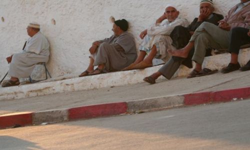Zdjecie MAROKO / brak / Mulaj Idris / Odpoczynek