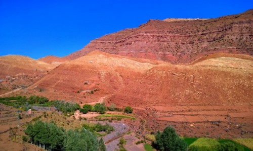 Zdjecie MAROKO / Atlas Wysoki / Dades / Dades