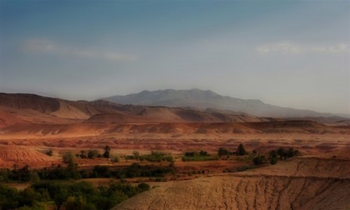 Zdjcie MAROKO / SUS-MASA-DARA / AIT BEN HADDOU / w baniowej aurze