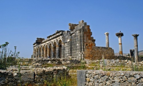 Zdjecie MAROKO / Pnocne Maroko / Volubilis / Volubilis