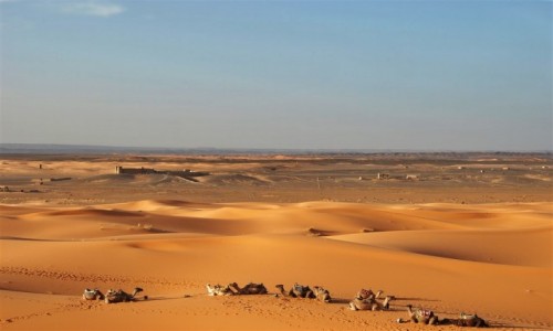 Zdjecie MAROKO / pustynia w pd-wsch. czci Maroka / ERG CHEBBI / fatamorgana