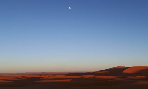 Zdjecie MAROKO / - / Sahara Maroko / Maroko
