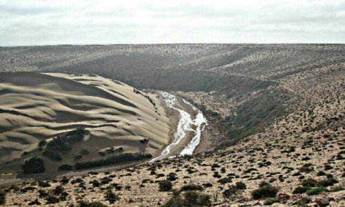 Zdjcie MAROKO / Sahara / Aoreora / Ued