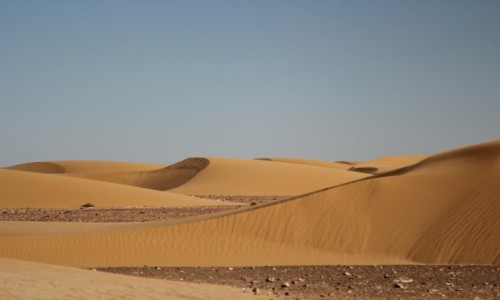 Zdjcie MAROKO / Sahara Zachodnia / Hagunia / Zawiana droga