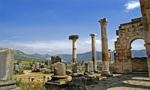 Zdjecie MAROKO / - / Volubilis / Volubilis