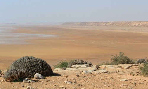 Zdjecie MAROKO / Sahara Zachodnia / Sahara / Pastelowa Sahara