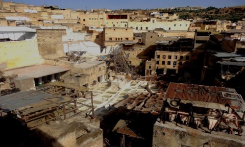Zdjęcie MAROKO / Fez-Meknes / Fez / Garbarnia
