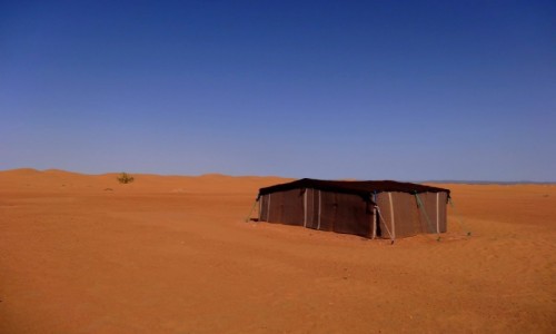 Zdjecie MAROKO / Sus-Masa-Dara / Sahara / Hotel na Saharze