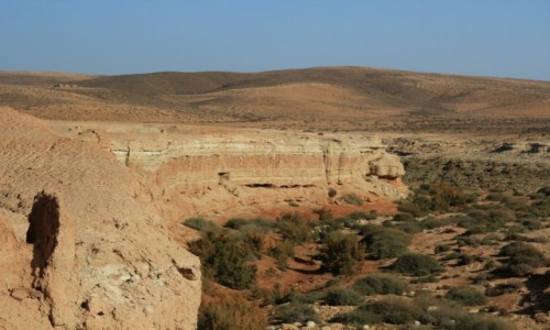 Zdjcie MAROKO / Nad Oceanem Atlantyckim / Aoreora / Stary Fort Aoreora