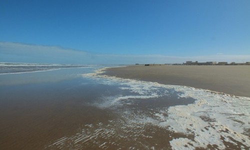 Zdjecie MAROKO / Maroko / Tarfaya / Plaa w Tarfaya