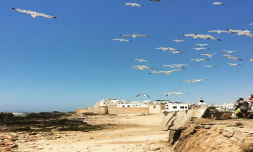 MAROKO / Essaouira / Essaouira / Essaouira