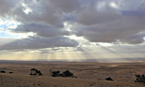 Zdjecie MAROKO / Sahara Zachodnia / Sahara / Miejsce na nocleg