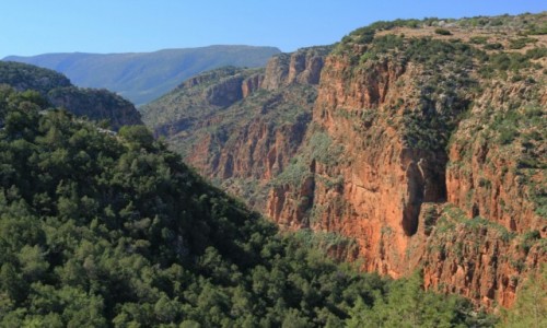 Zdjecie MAROKO / Maroko / Maroko / Widoczek