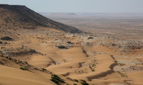 Zdjecie MAROKO / Sahara Zachodnia / Sahara / Pocztwka z Sahary