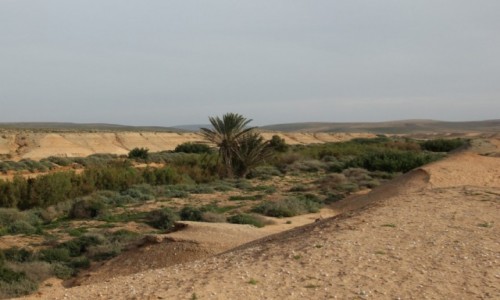 Zdj�cie MAROKO / * / Droga do Aoreory / Uedzik