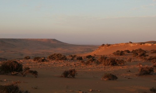 Zdjcie MAROKO / Sahara Zachodnia / Sahara  / Pocztwka z Sahary