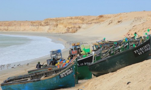 Zdjcie MAROKO / Sahara Zachodnia / Nad Oceanem Atlantyckim / Plaa