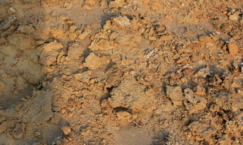 Zdjecie MAROKO / Sahara Zachodnia / Nad Oceanem Atlantyckim / Re pustyni