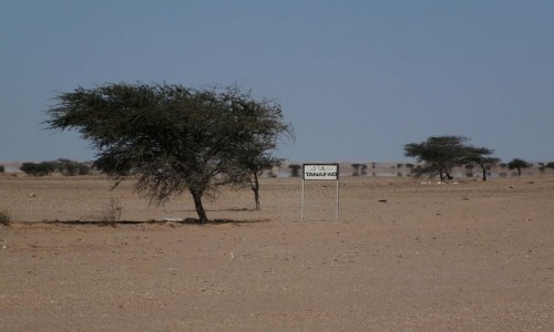 Zdjecie MAROKO / Sahara Zachodnia / Sahara / Strefa zabudowana.Zmniejsz prdko.