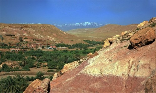 Zdjecie MAROKO / Ouarzazate /  / Ait-Ben-Haddou  / Oaza
