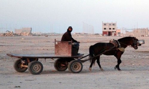 Zdjęcie MAROKO / Sahara Zachodnia / Dakhla / Nie każdy ma taką furę