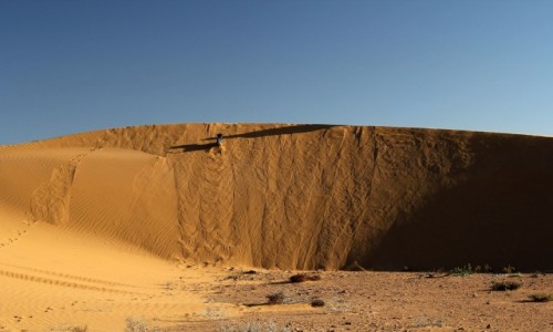 Zdjecie MAROKO / Sahara Zachodnia / gdzie w piaskach pustyni / W gr