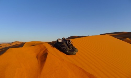 Zdjęcie MAROKO / - / Erg Chebbi / Tylko butom udało się dotrzeć na szczyt wydmy