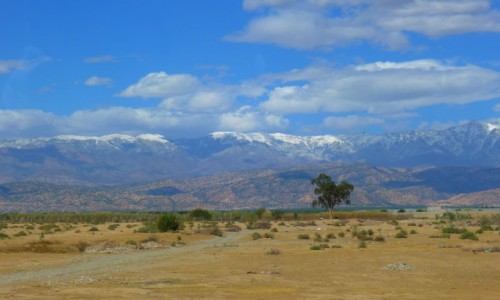 Zdjęcie MAROKO / - / Atlas Maroko / Atlas Wysoki