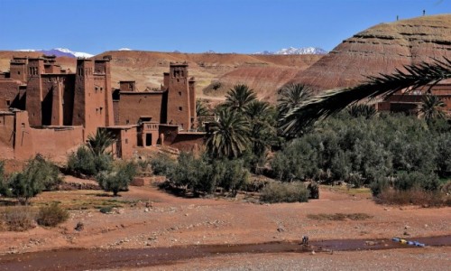 Zdjecie MAROKO / poudniowe podne Atlasu Wysokiego / Ait Ben Haddou  / Ksar Ait Ben Haddou