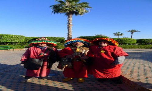 Zdjcie MAROKO / Miasto Marrakesz / Plac z ogrodem  w Marrakeszu / Nosiwoda