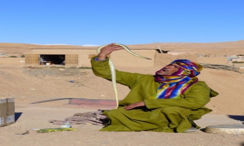 Zdjęcie MAROKO / Maroko / Okolica ksaru Ait Ben Haddou / Zaklinacz węży