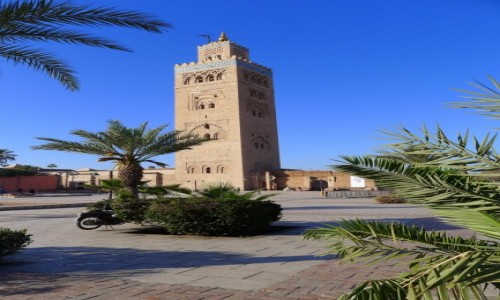 Zdjcie MAROKO / Miasto Marrakesz / Centrum Marrakesz / Meczet Kutubijja